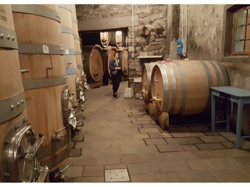 Visao da Cantina di Josko Gravner